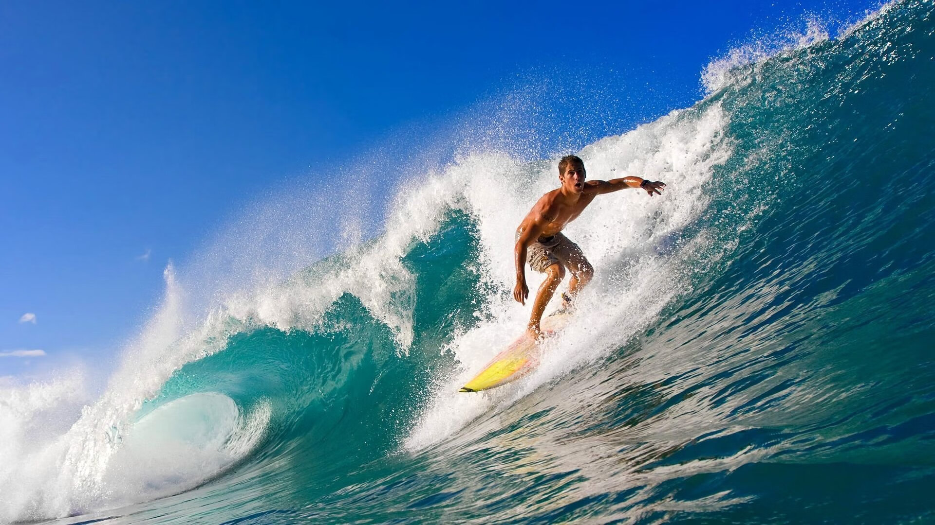 开云体育俱乐部官网-WRC文化交流：世界各地的拉力魅力，世界著名拉力赛道