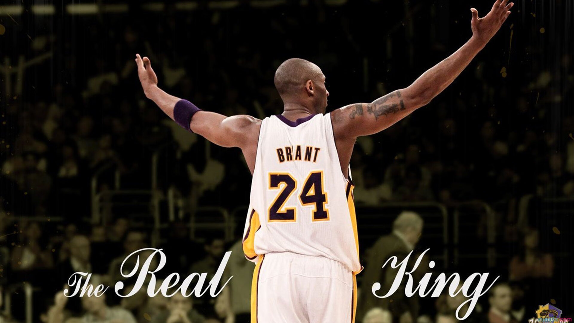 “青春奋起”青少年篮球明星选拔营在南京抢占先机，塑造未来偶像